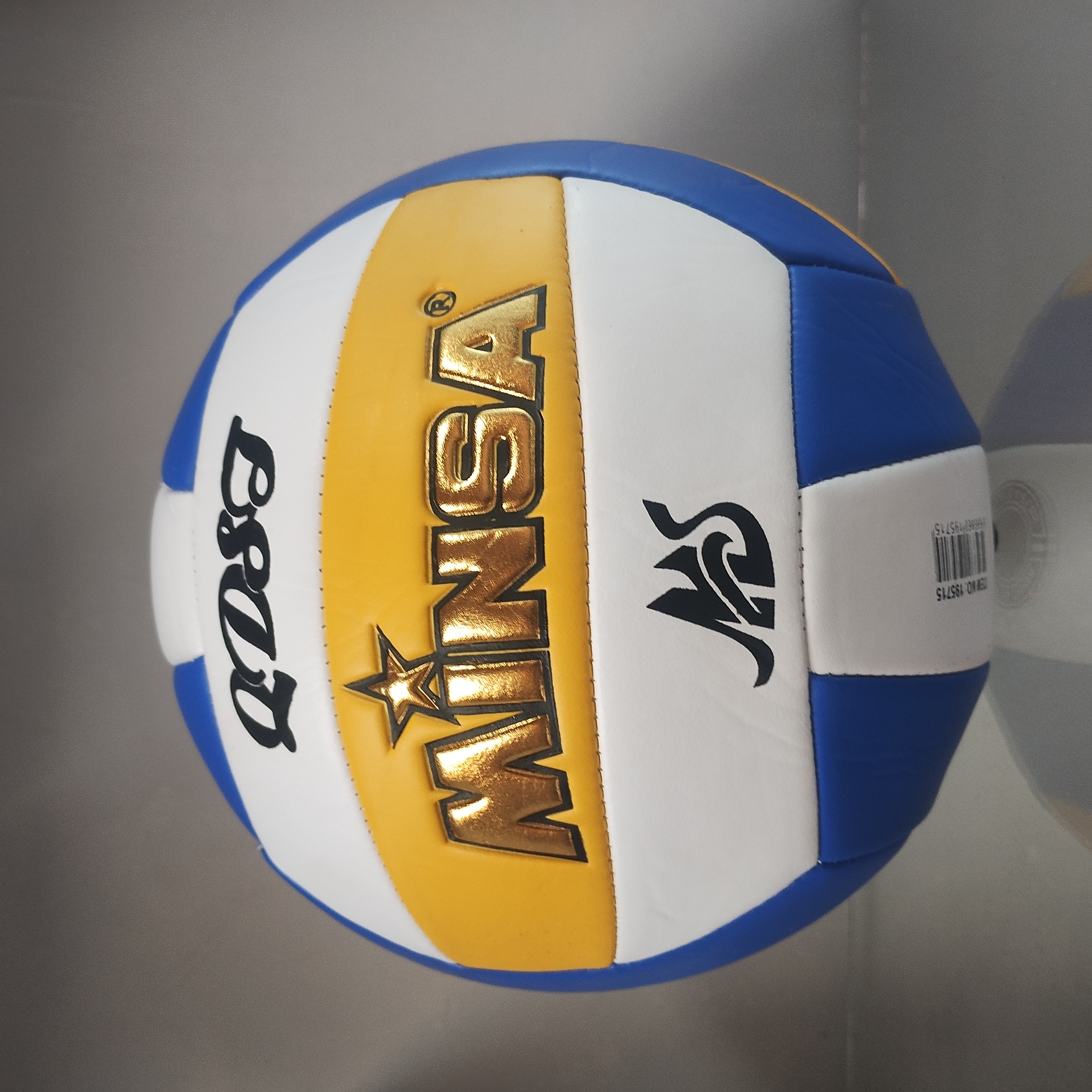 BALON VOLEIBOL